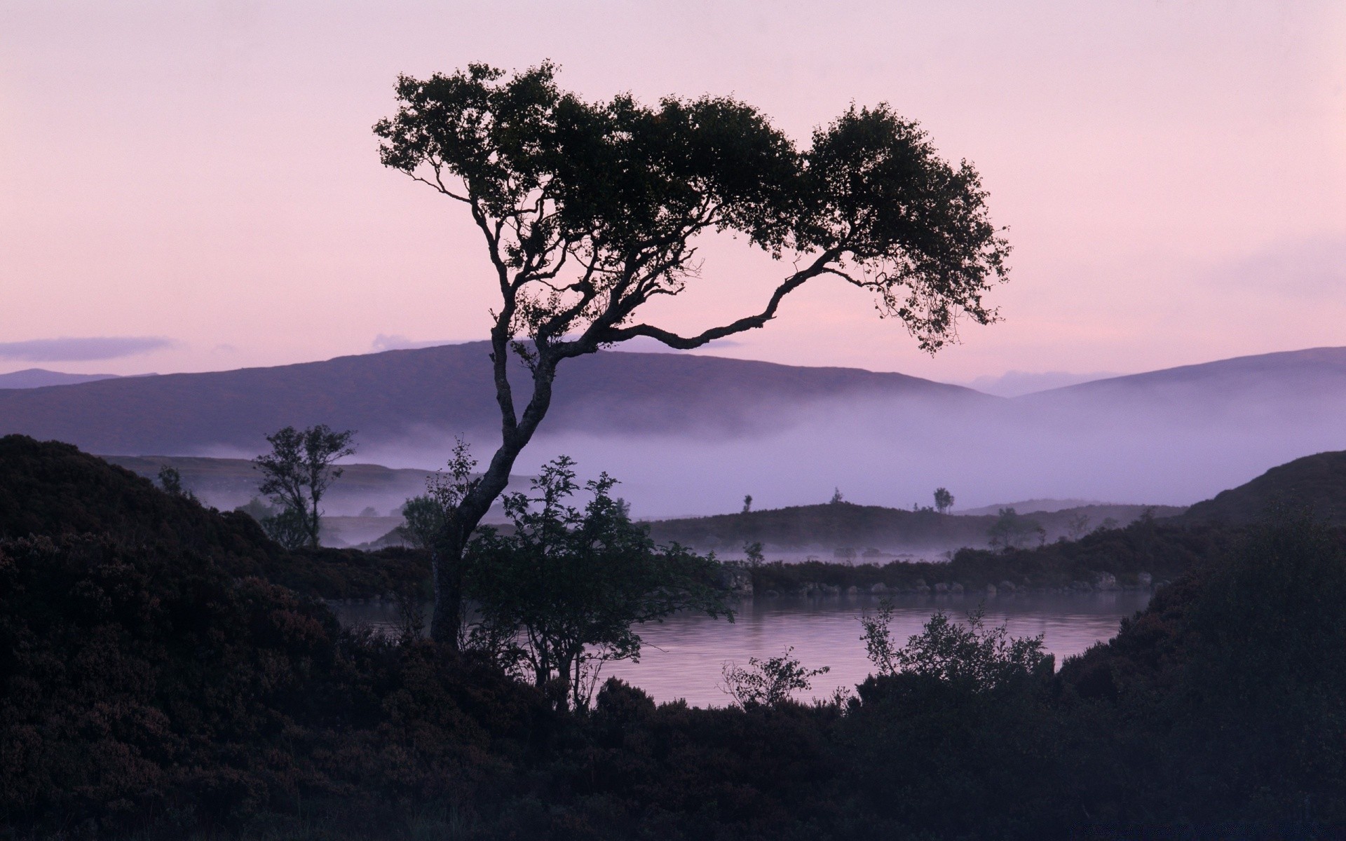 see landschaft baum dämmerung berge nebel wasser himmel sonnenuntergang natur abend reisen silhouette landschaftlich hinterleuchtet im freien holz nebel