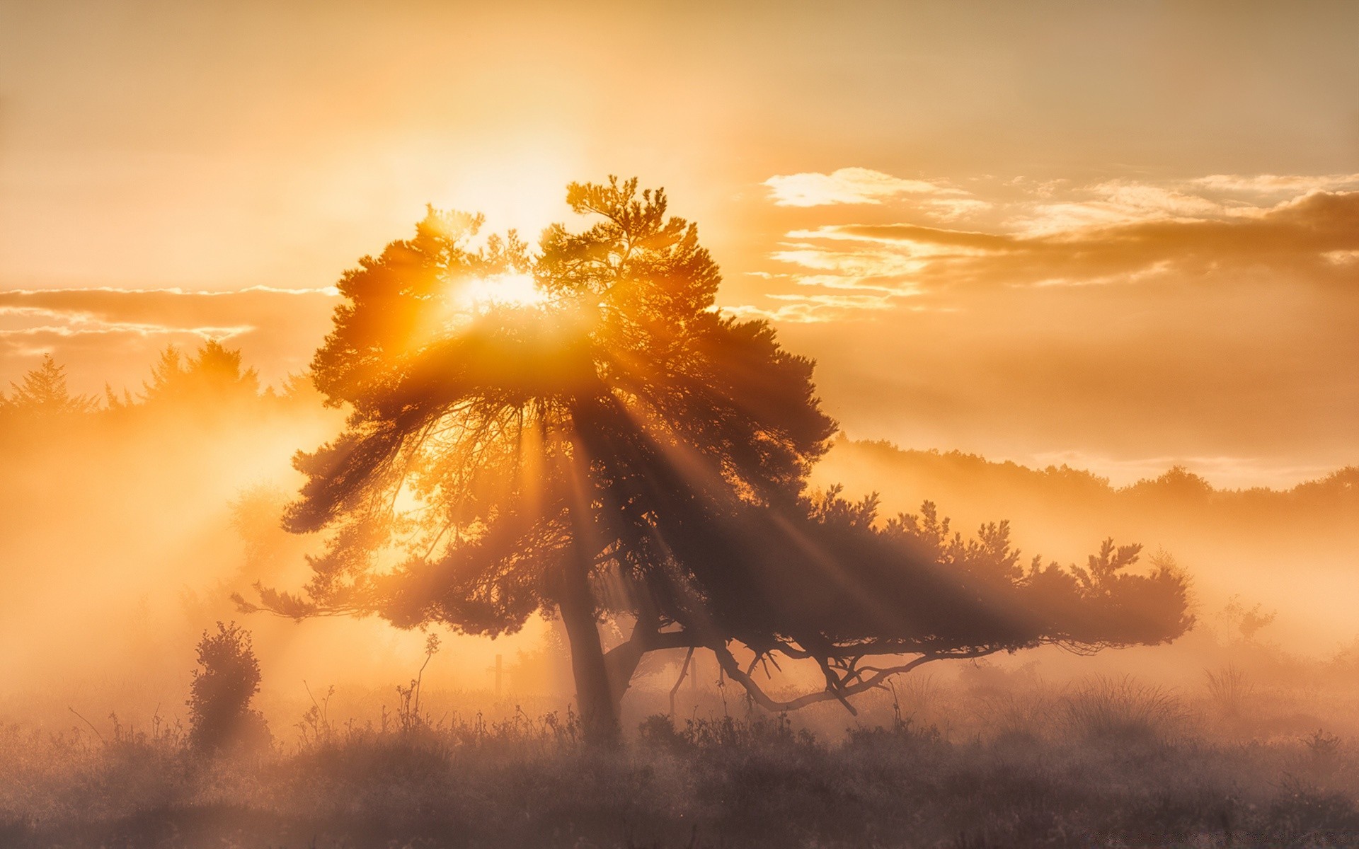 paisaje puesta de sol amanecer sol cielo noche naturaleza paisaje iluminado árbol tiempo buen tiempo anochecer al aire libre silueta luz tormenta