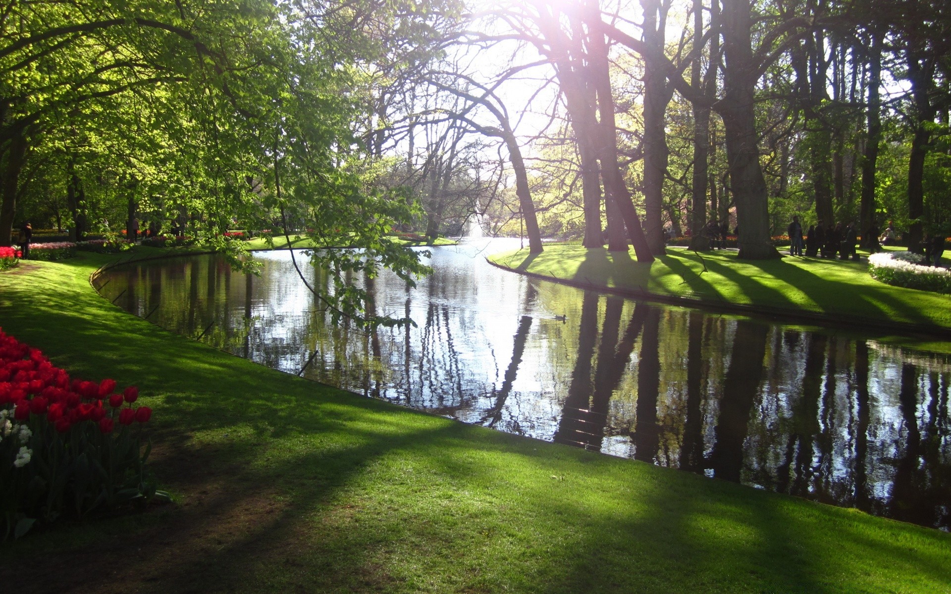 krajobrazy krajobraz drzewo drewno park natura trawa woda sceniczny przewodnik środowisko liść na zewnątrz ogród rzeka jezioro lato basen odbicie świt