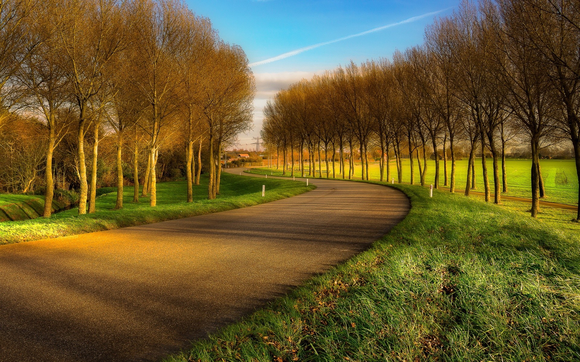 paysage paysage arbre herbe route automne aube nature manuel campagne rural pays champ extérieur