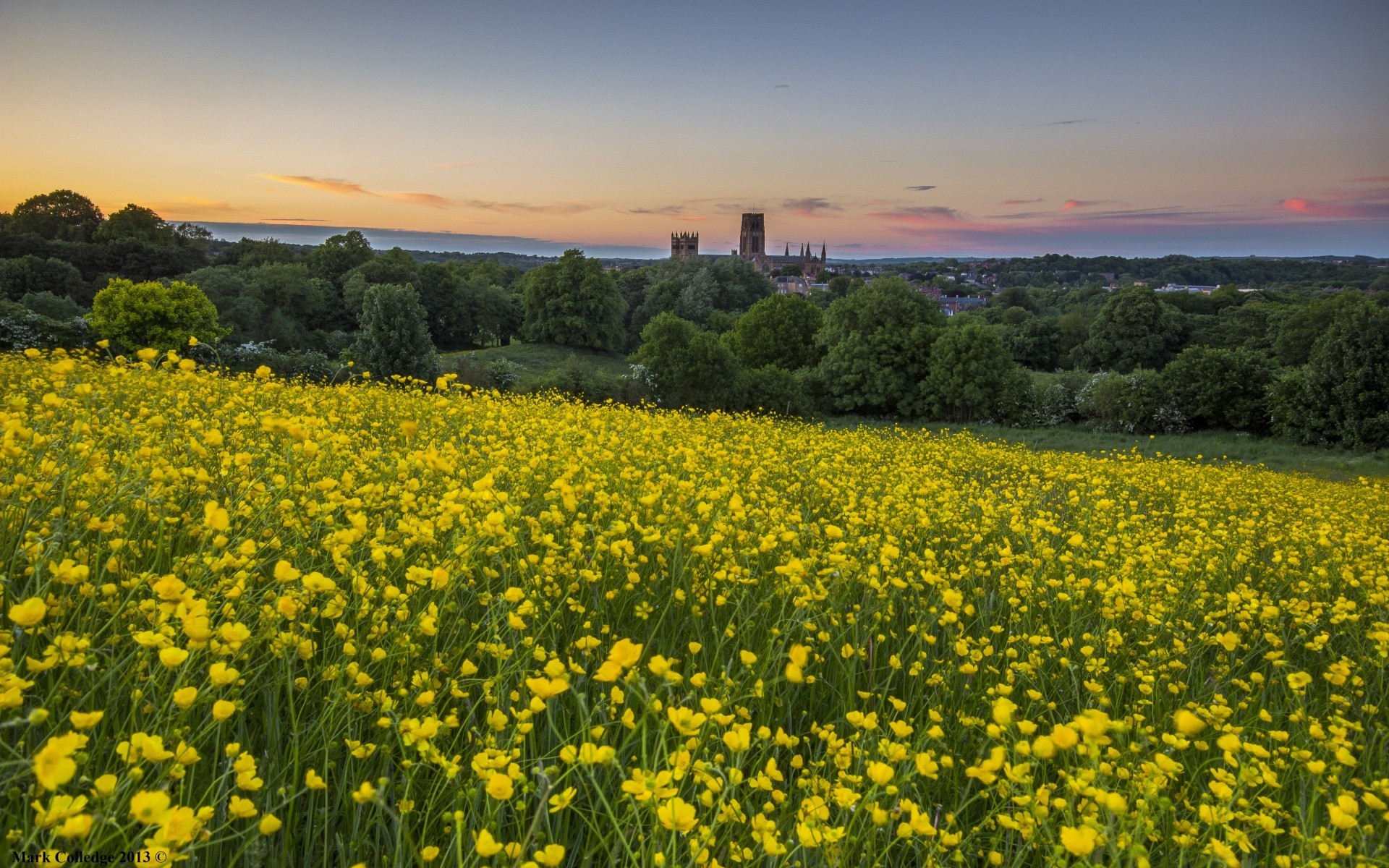 landschaft feld landschaft landwirtschaft blume heuhaufen des ländlichen natur im freien flora bauernhof umwelt landschaft sommer landschaftlich gras weide himmel land ernte