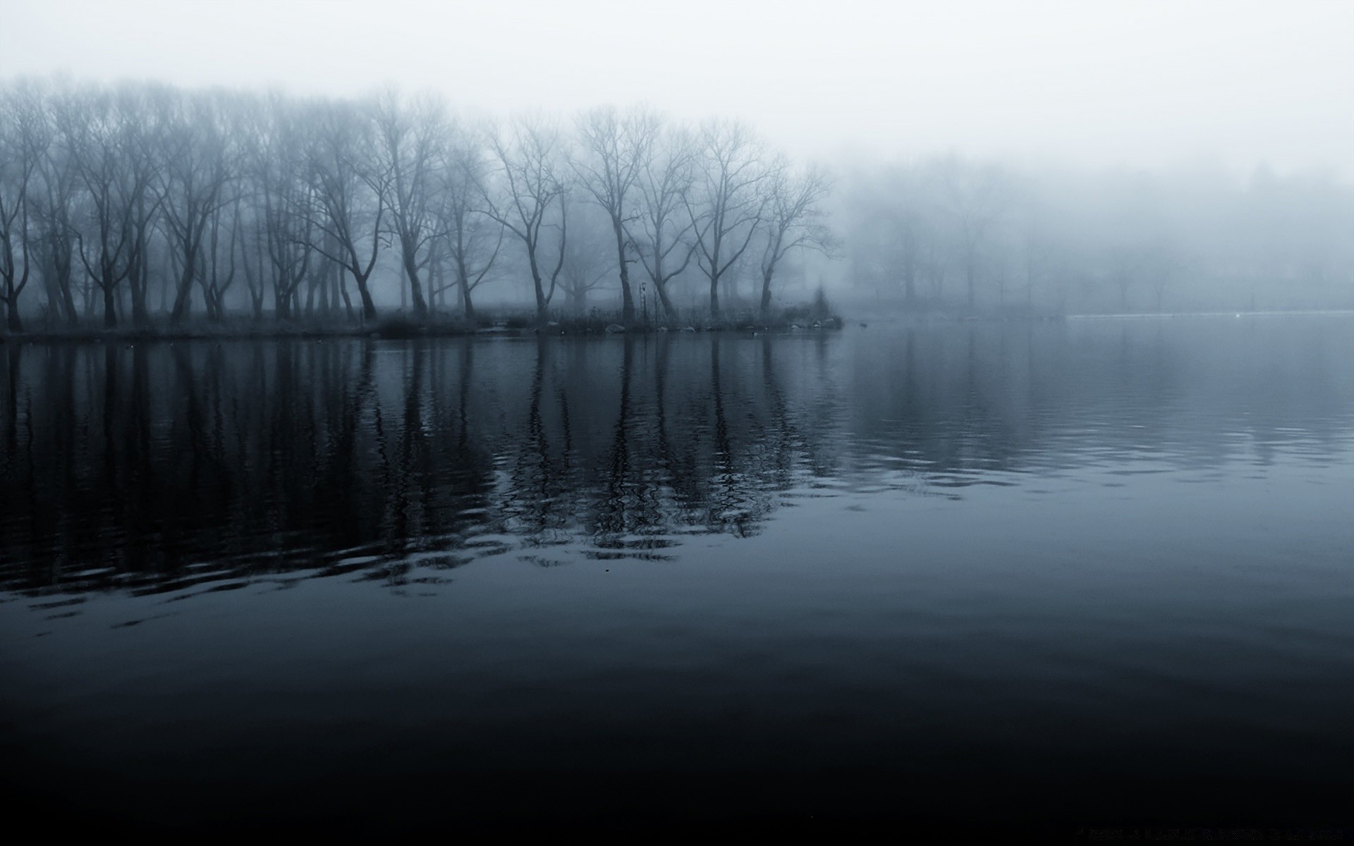 lac eau réflexion paysage aube rivière coucher de soleil nature brouillard arbre hiver ciel soir brouillard lumière