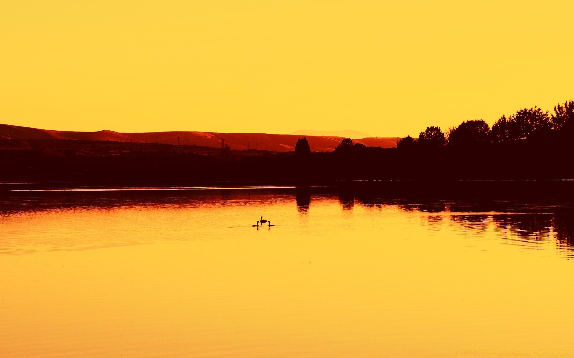 lago tramonto acqua alba sera riflessione crepuscolo paesaggio fiume illuminato spiaggia plesid