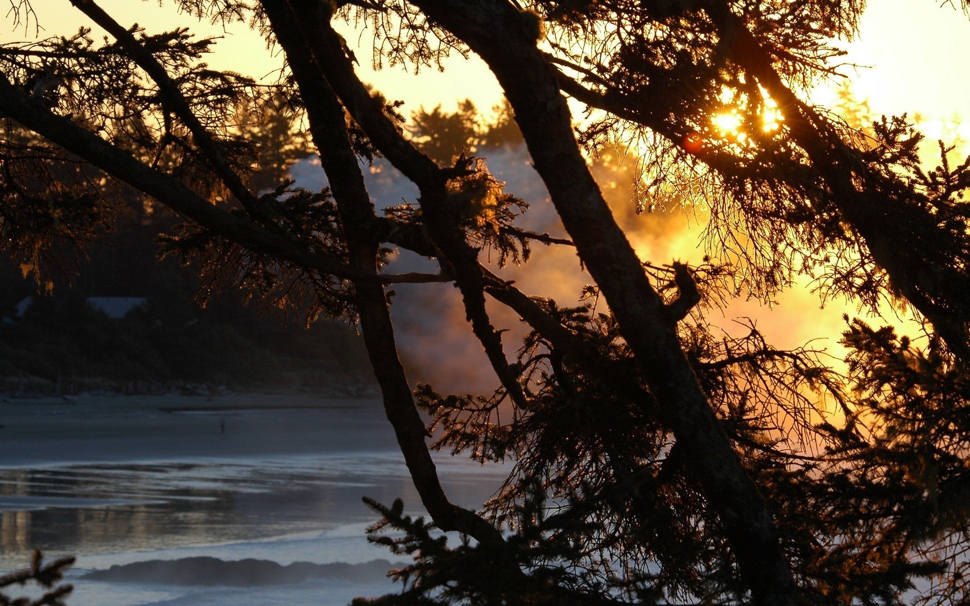 lac arbre paysage aube nature bois extérieur coucher de soleil soleil beau temps eau branche soir automne environnement rétro-éclairé météo lumière hiver parc