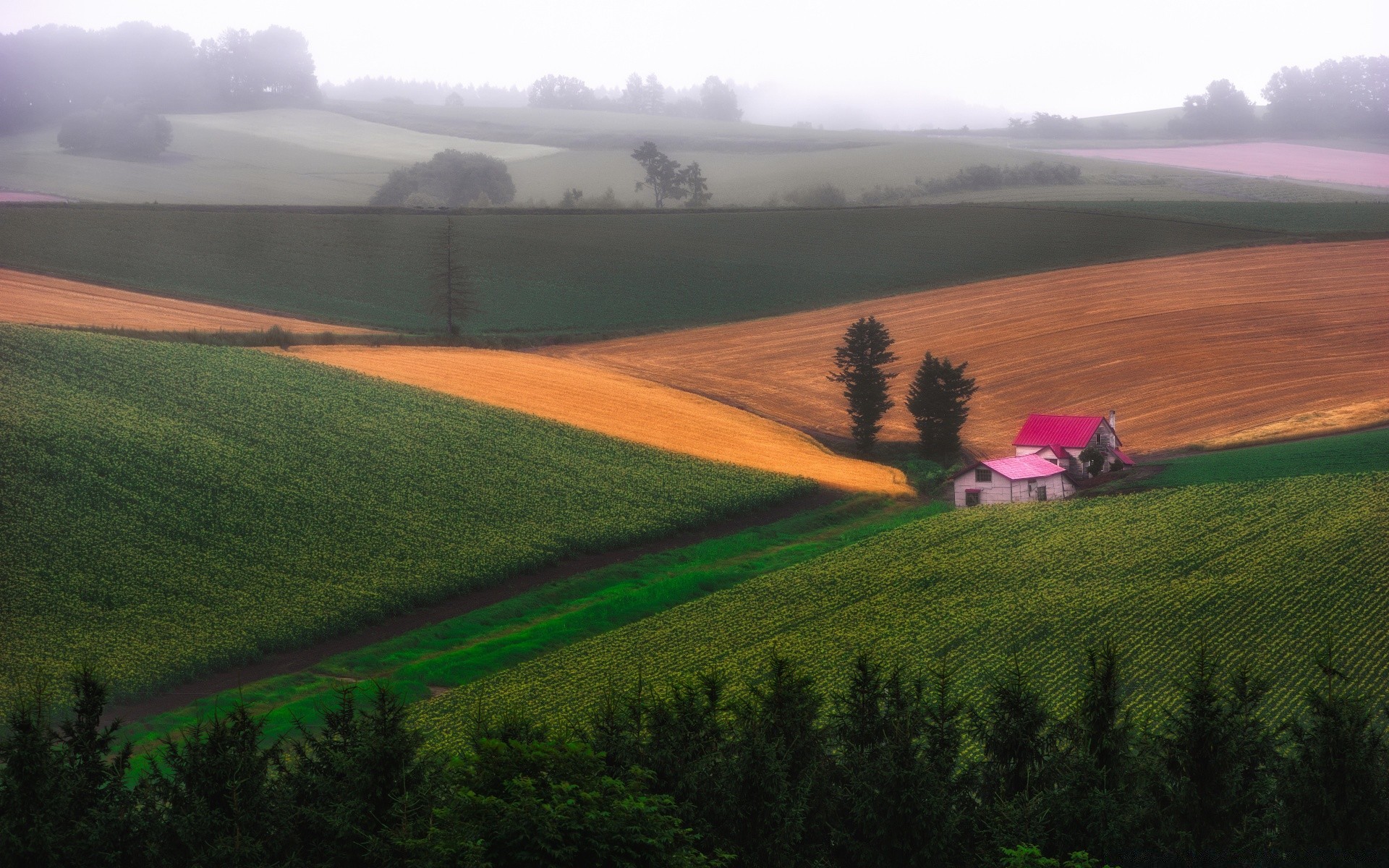 paysage terres cultivées agriculture paysage extérieur campagne ferme champ pastoral arbre lumière du jour ciel nature colline herbe