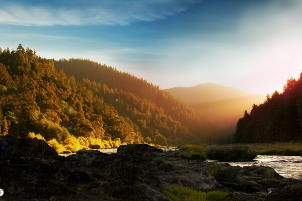O outono cobre a floresta