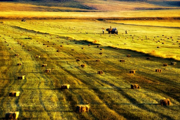 Workers on a tractor collect straw bales in the field
