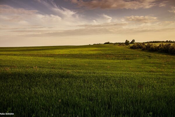 The best fields of the countryside