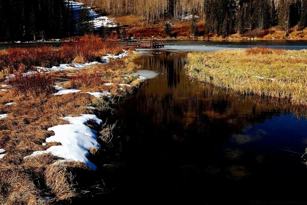 Paesaggio primaverile fiume e foresta