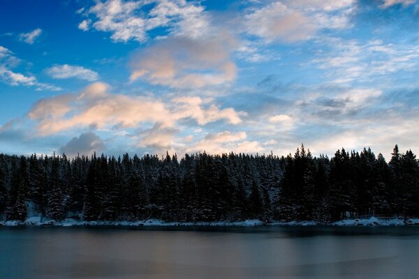 Amanecer en un bosque cubierto de nieve junto al lago