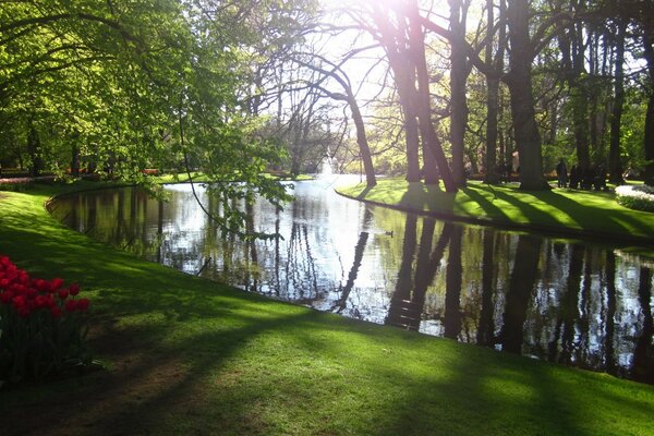 Blick auf einen malerischen Bach in einem schönen und gepflegten Park
