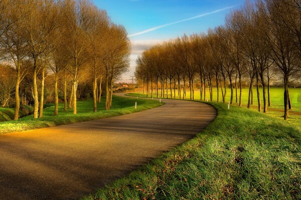 Landschaft der Straße mit Wiese und Bäumen