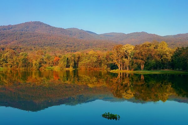 Herbstliche Landschaft. Sauberes Wasser im See