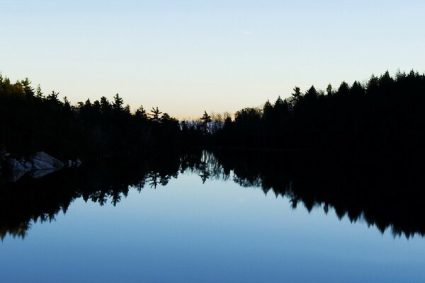 Morgendämmerung am See, Reflexion der Bäume im Wasser