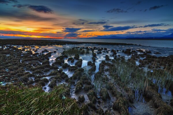 Prairie marécageuse sur fond de coucher de soleil