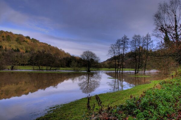 Paysage nature rivière et arbres