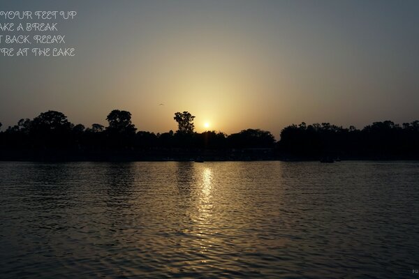 Photo the sun at sunset on the lake at dusk