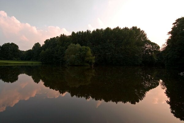 Beaux arbres et lac au coucher du soleil