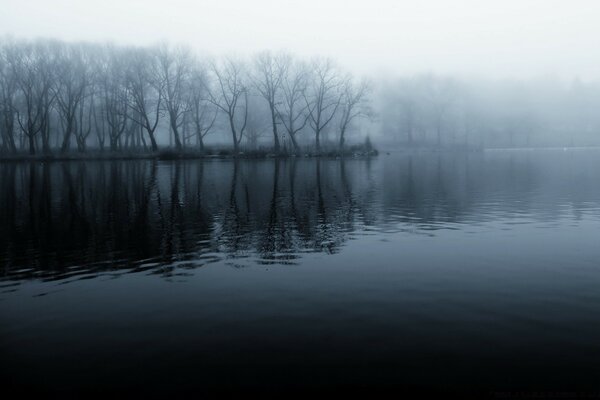 Brumoso amanecer en un lago en el bosque