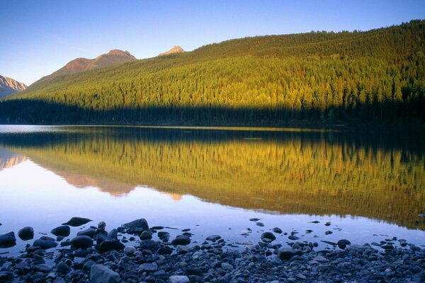Lake on the background of mountains and forests