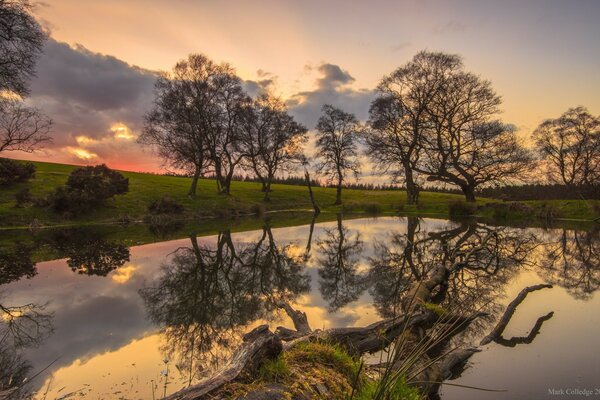 Hermosa naturaleza nocturna junto al lago