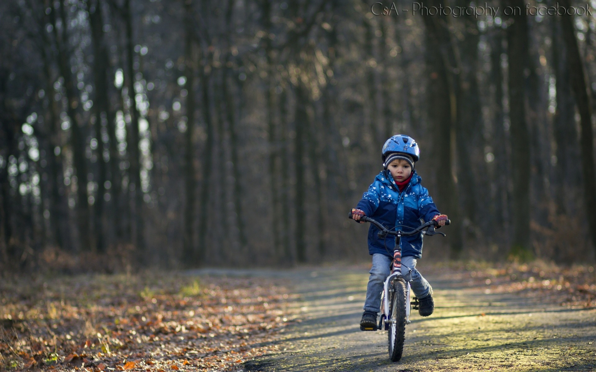 koła rowerowe rowerzysta siedzi rower dziecko wypoczynek droga przyjemność park rekreacja drewno pojedyncze na zewnątrz biker drewno ruch natura chłopiec przygoda