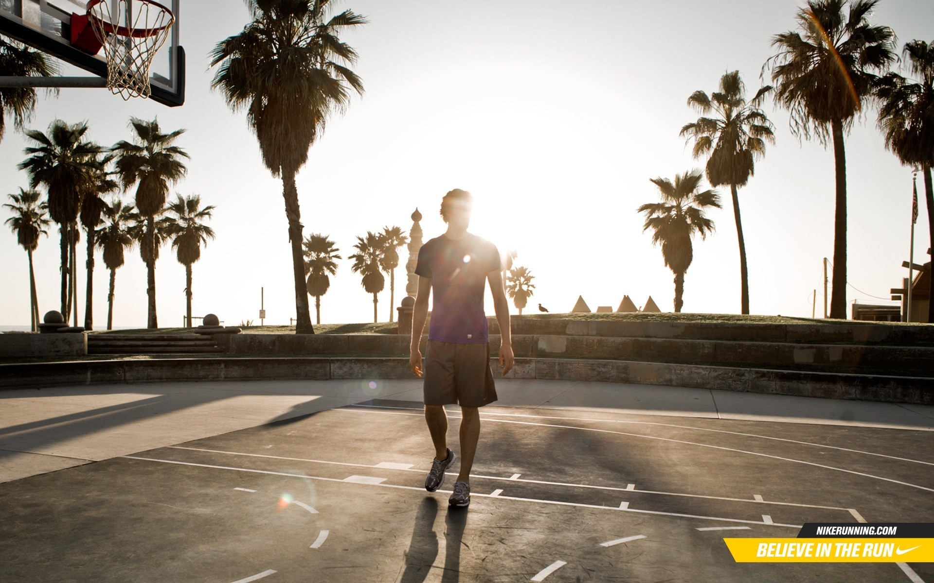 basketball urlaub reisen strand urlaub im freien baum sommer palmen tropisch meer urlaub wasser entspannung gutes wetter sand himmel