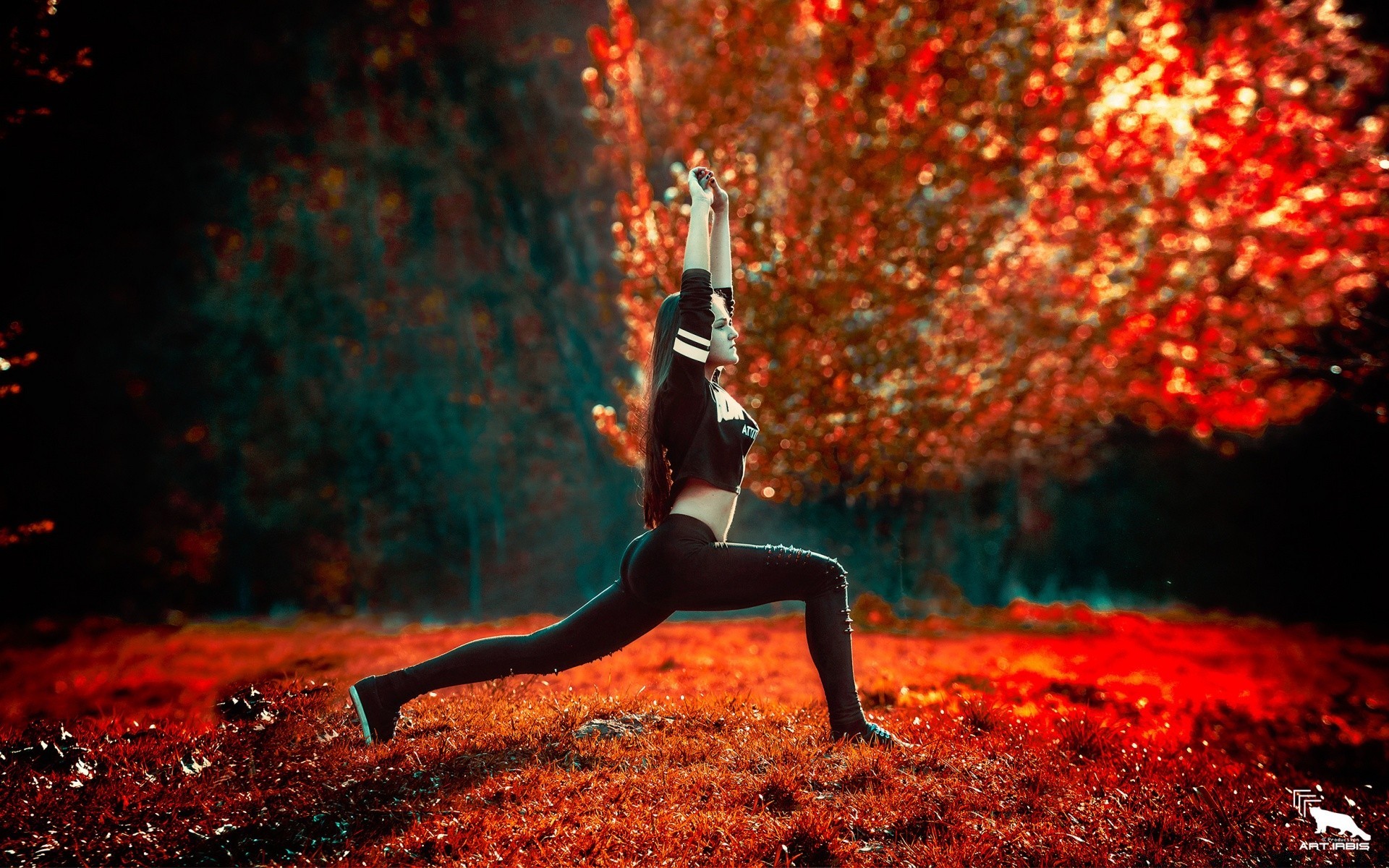 fitness competencia solo otoño adulto hoja árbol al aire libre festival luz