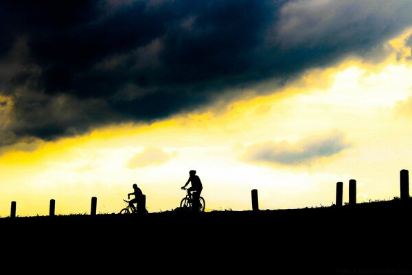 Cyclists on the background of sunset or dawn