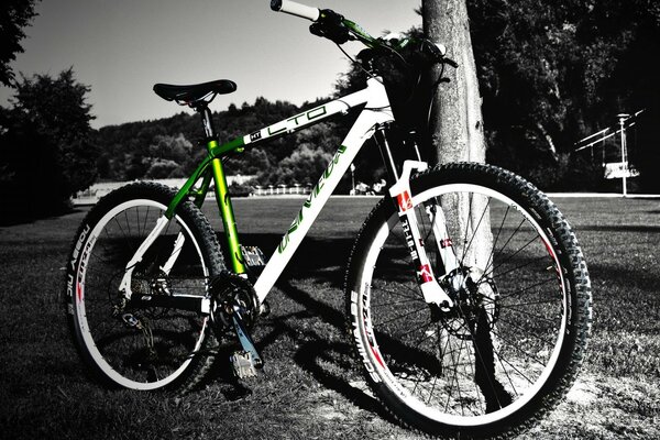 Beautiful bike on black and white background