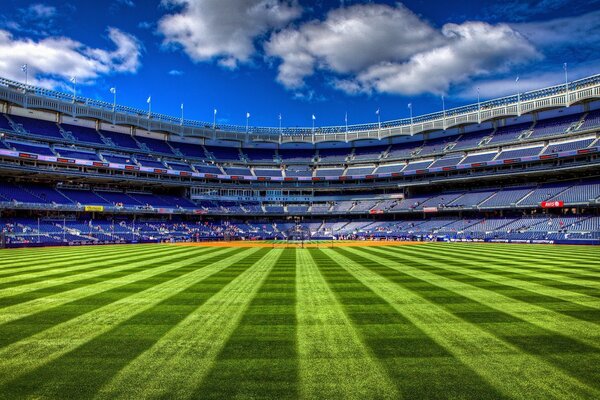 Estadio. Estructuras a gran escala. Campo de fútbol