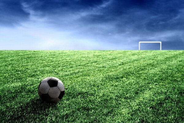 Soccer ball on a green field with a goal