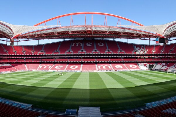 Terrain de football vide. Un stade sans personnes