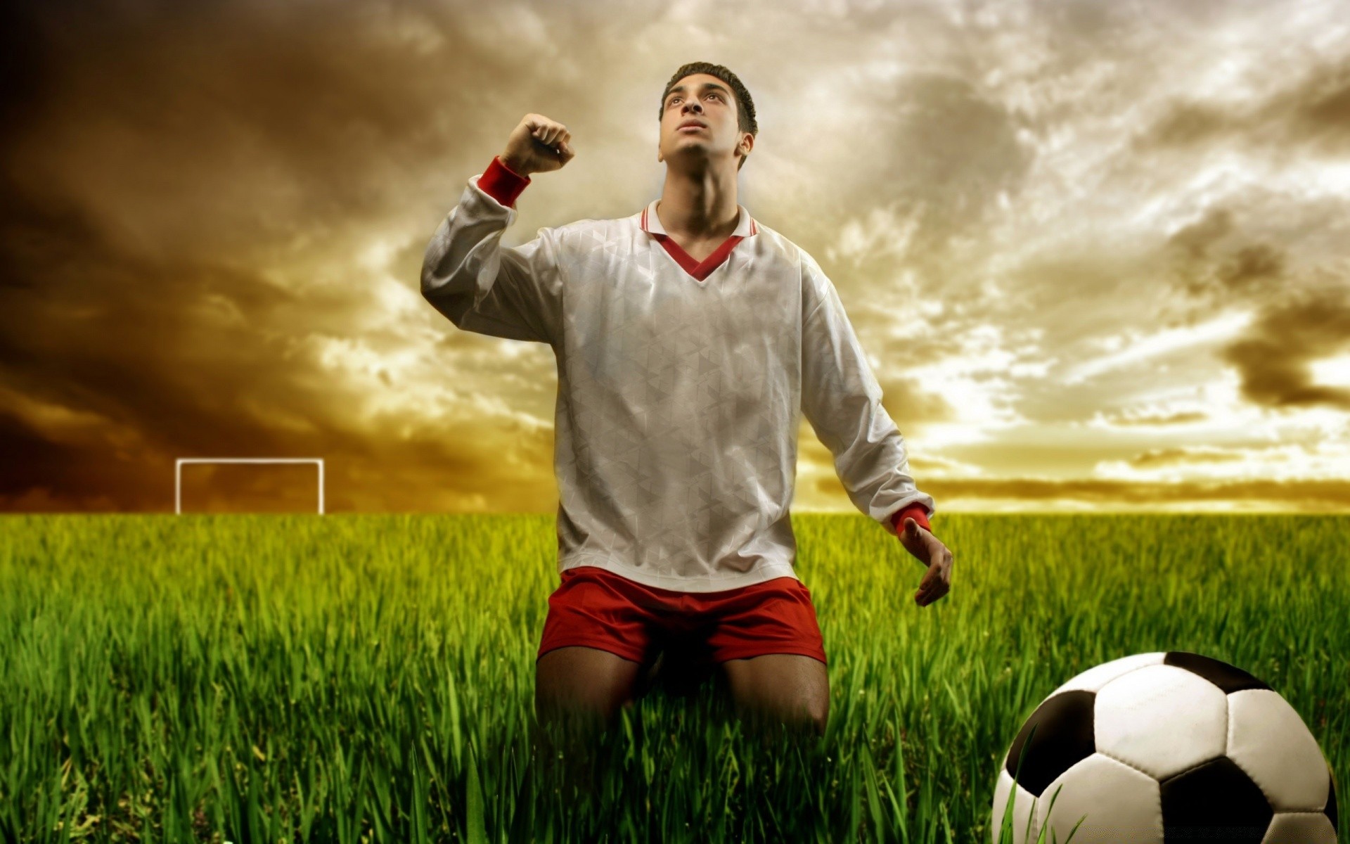 football terrain football herbe balle but sport jouer loisirs jeux compétition foin plaisir stade garçon homme