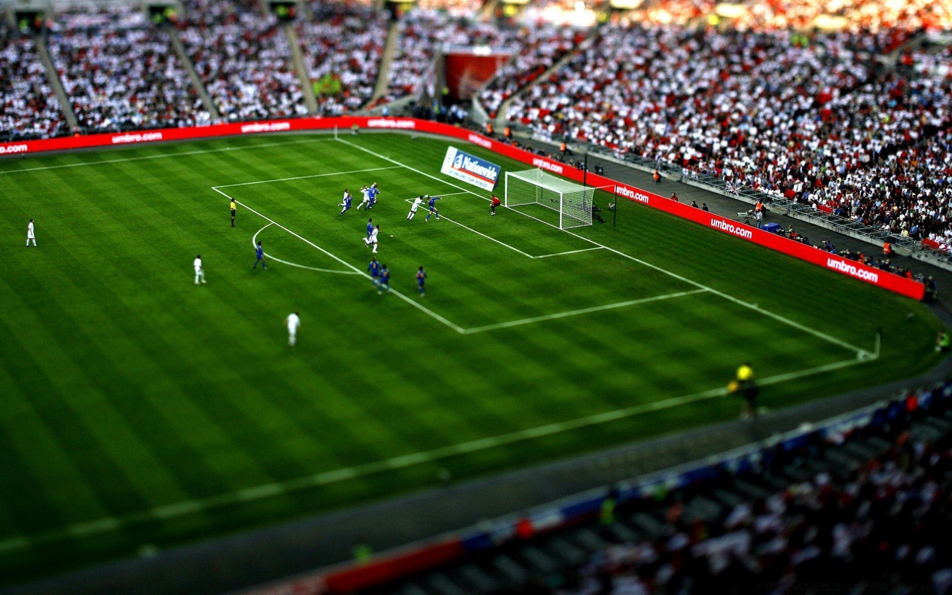 calcio stadio calcio concorso campo giochi campionato palla partita appassionato di sport erba obiettivo sport