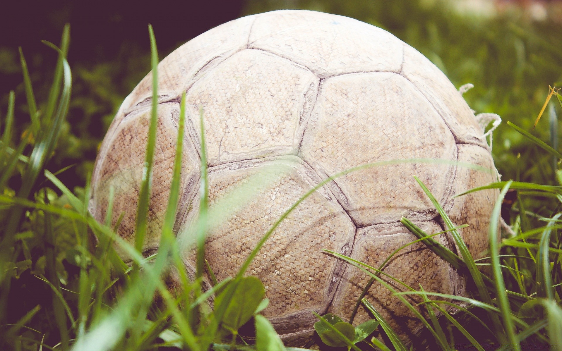 fußball gras natur im freien essen schließen holz