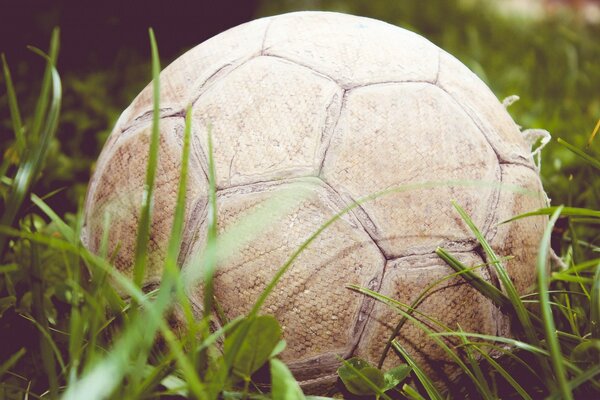 Un pallone da calcio giace nell erba lunga