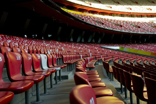 Empty stadium, rows of seats