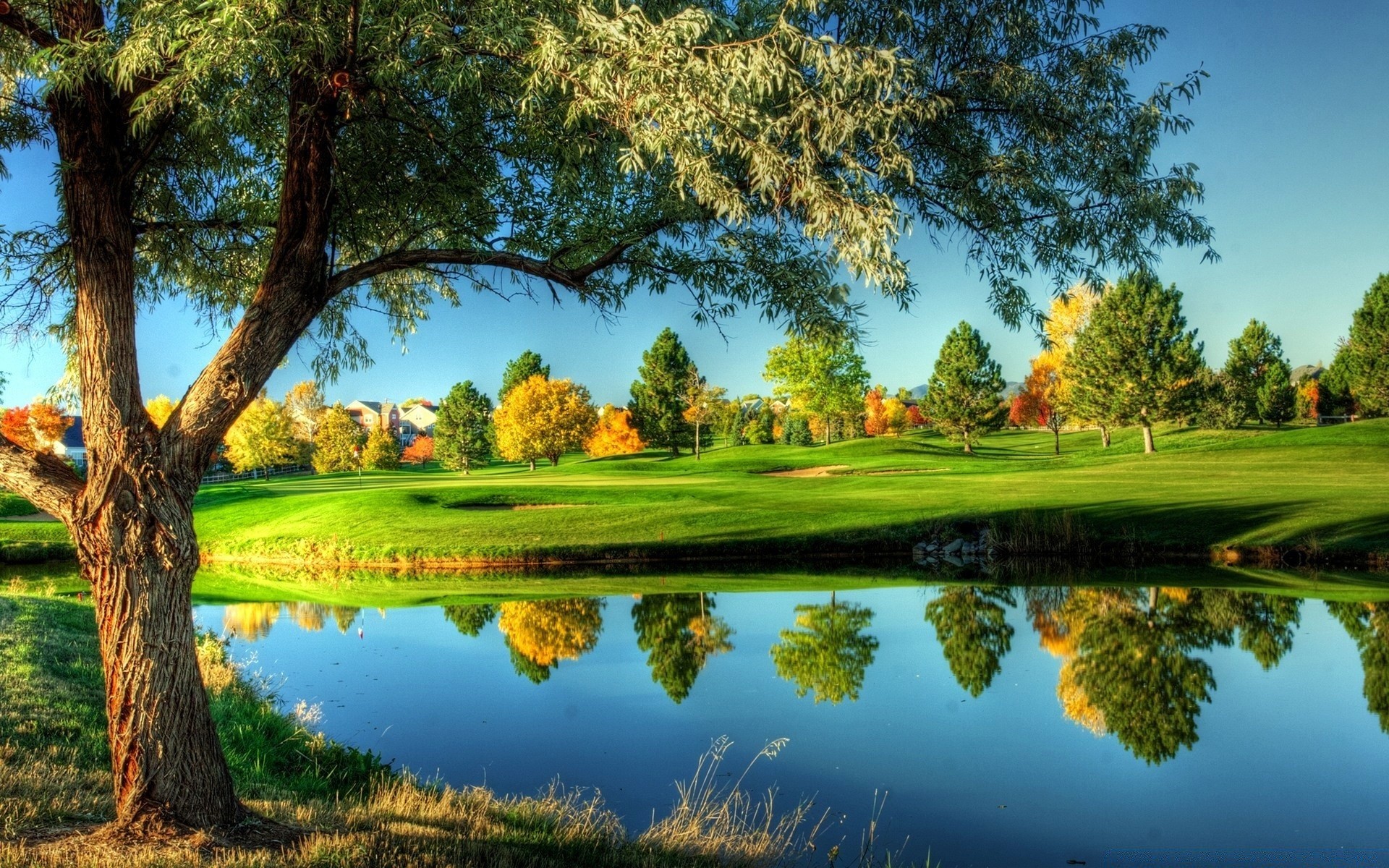 golf árbol hierba paisaje naturaleza lago cielo escénico al aire libre verano reflexión piscina parque madera agua heno espectáculo rural nube río