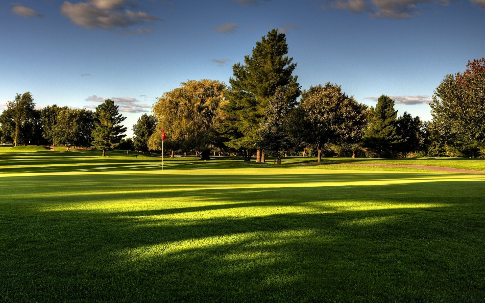 golf erba putt paesaggio prato albero golfista corso fairway tee natura all aperto parco