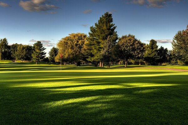 Schöner Rasen auf dem Golfplatz