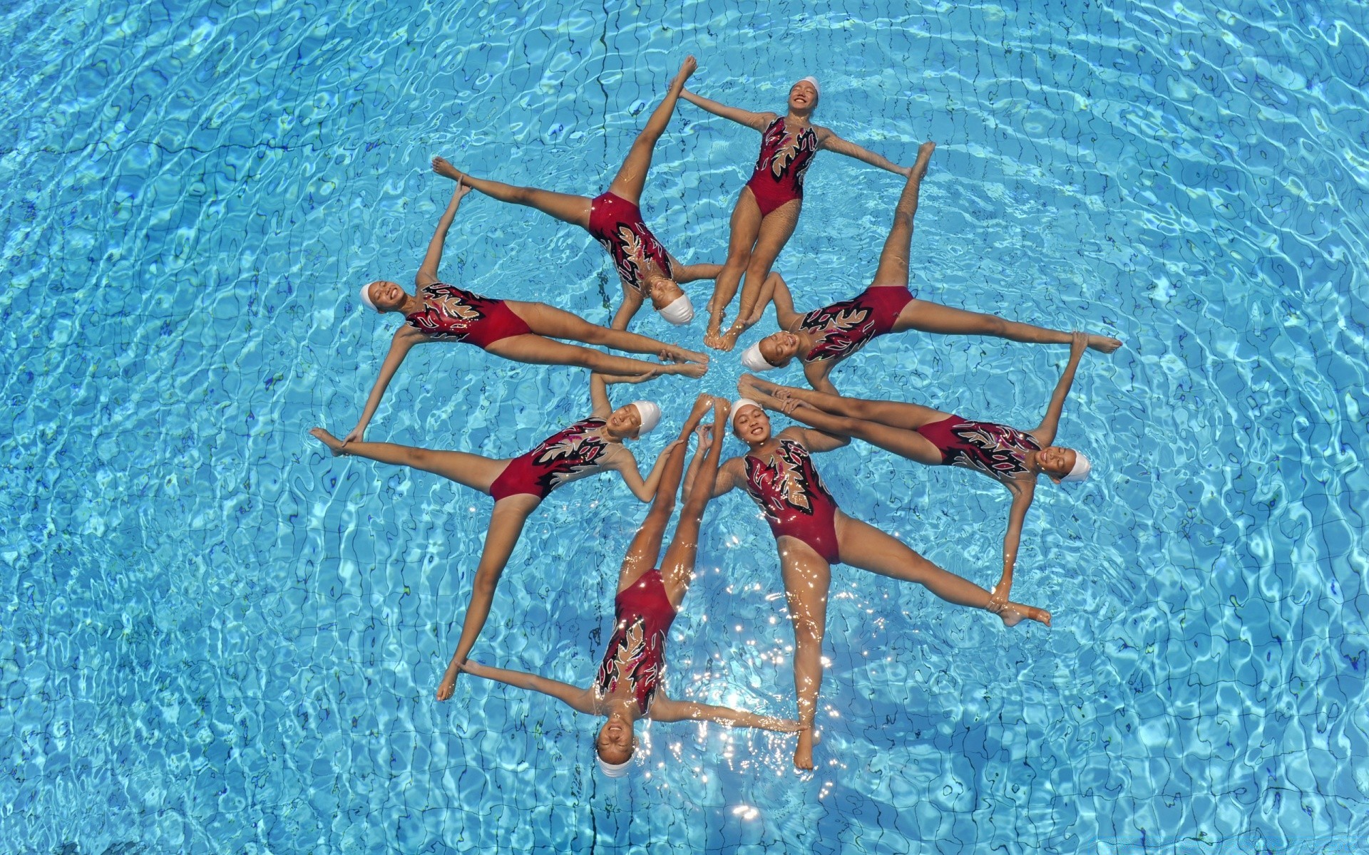 deportes mar agua playa océano estrella de mar viajes tropical vacaciones escritorio arena mar invertebrados naturaleza bajo el agua verano marina vacaciones equinodermos natación