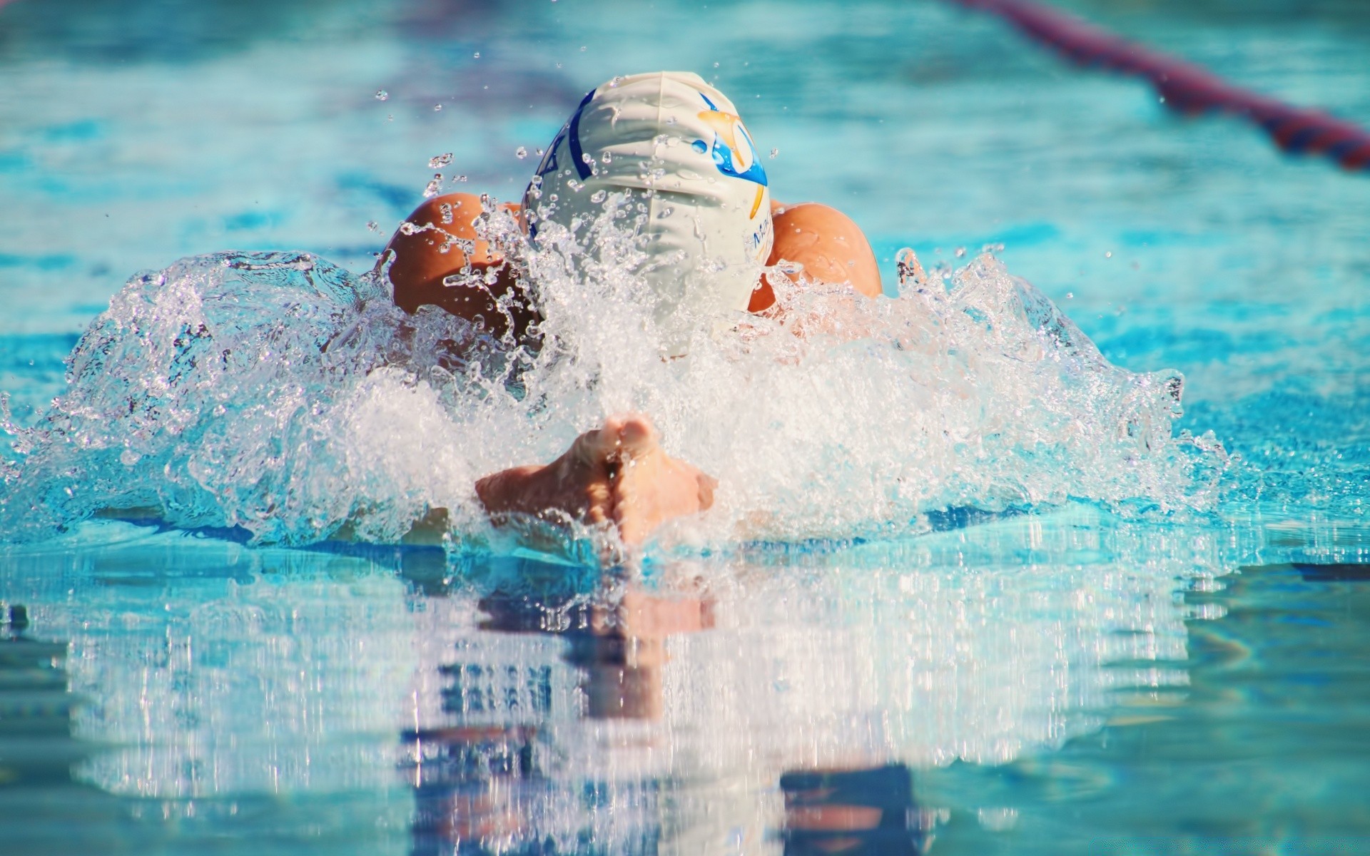 sports swimming swimmer water wet pool swimming pool goggles splash water sports leisure recreation sport fun underwater freestyle action exercise diving shot