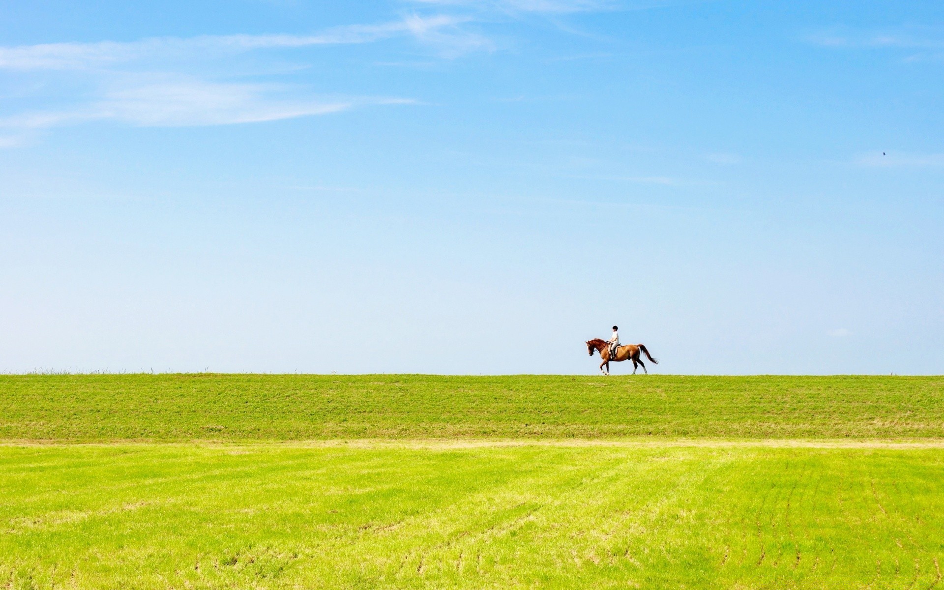 sport paysage champ agriculture herbe ferme rural pâturage campagne ciel à l extérieur nature foin été pâturage pays terres agricoles