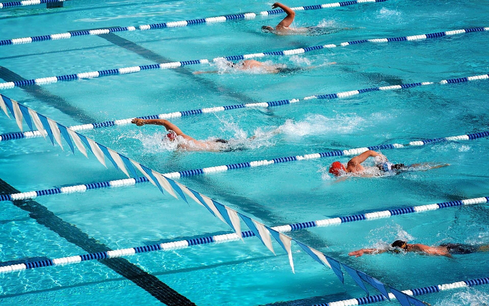 sport natation eau piscine compétition piscine sous-marin nageur course loisirs humide loisirs voyage lunettes sports nautiques splash plaisir station été