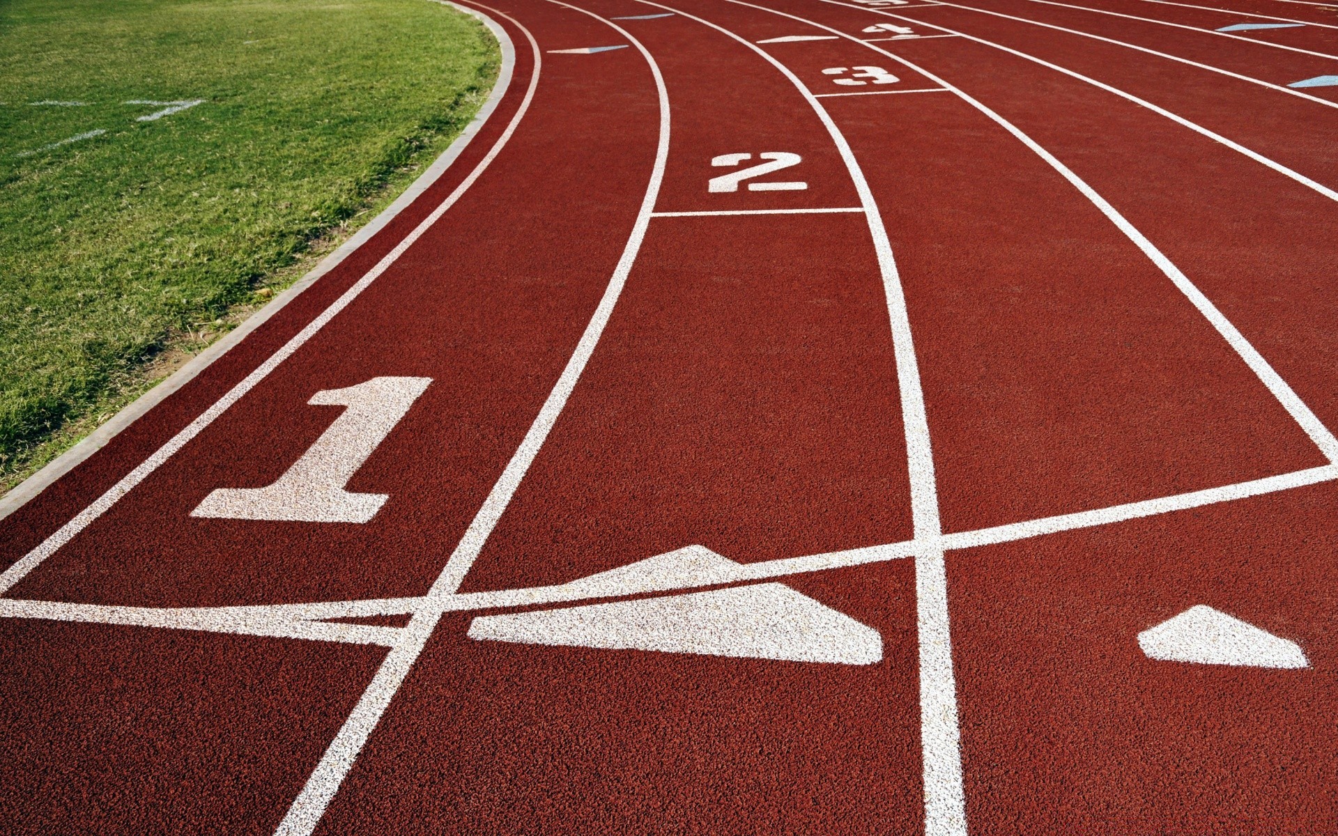 esporte pista competição começar atletismo corrida corredor estádio pista sprint frente velocista ponto desafio campo linha asfalto correr xadrez asfalto