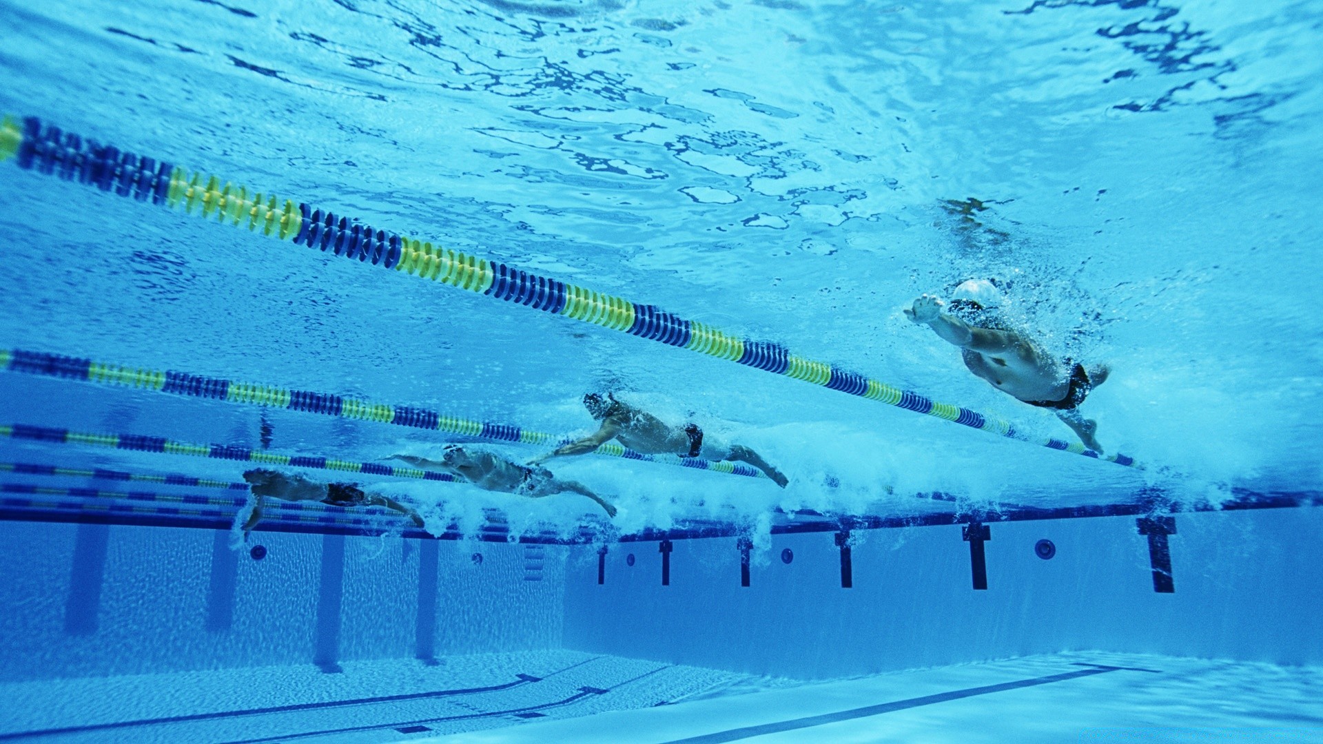 esportes água natação debaixo d água piscina viagens