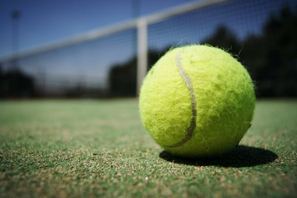 Tennis mAh si trova sul campo da tennis