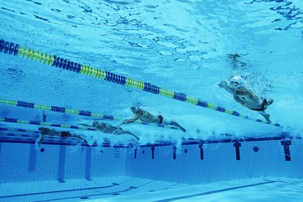 Quatre nageurs en compétition dans la piscine