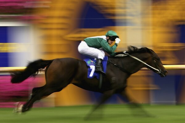 Carreras de caballos, deportes ecuestres